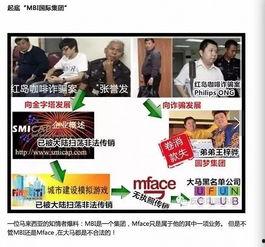 金钱爆料最新视频大全集,最新视频全集深度解析